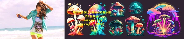 mdpv Белокуриха