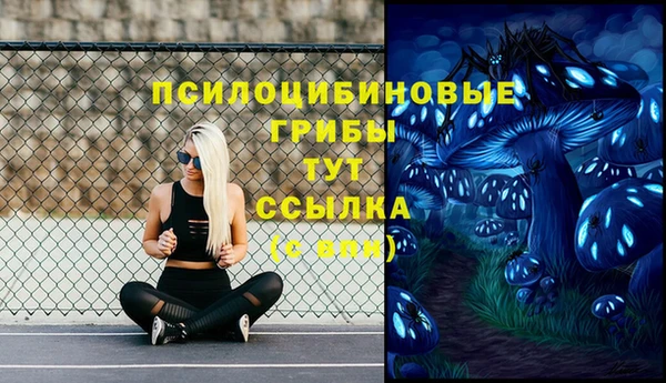 mdpv Белокуриха